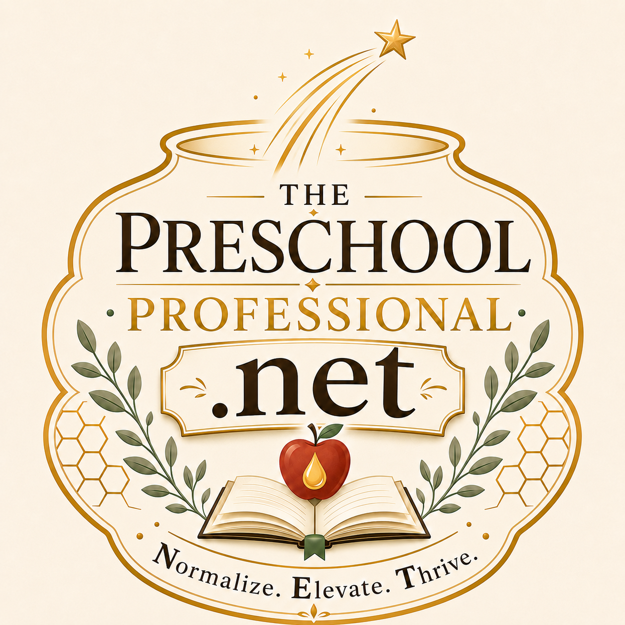 The Preschool Professional